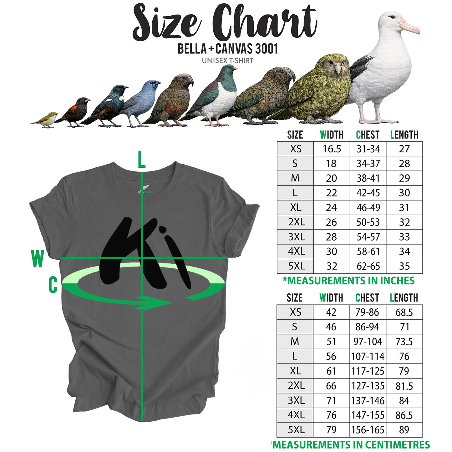Gray t-shirt with 'Kiwilandia' logo and size chart for Bella + Canvas 3001 shirt on a white background, with native NZ birds of different sizes above. 